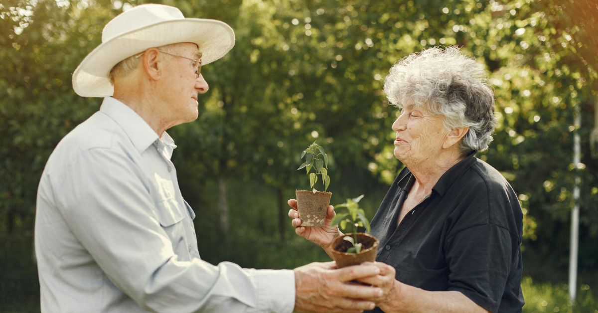 How to Apply for the Lifeline Assistance Program as a Low-Income Individual