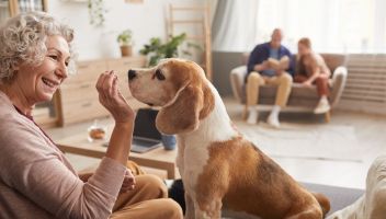 Getting the Pet-Friendly Senior Housing Options